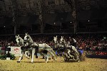 Extreme - 00851